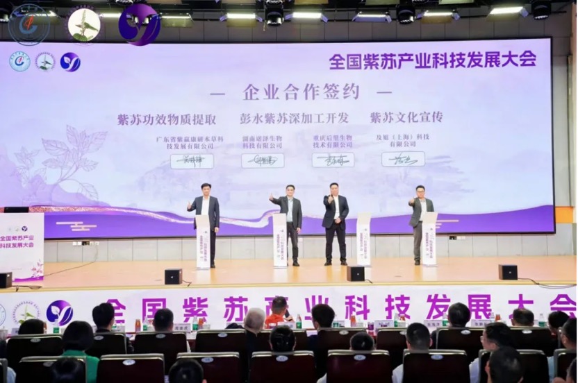 及旭科技与紫赢康研签约仪式现场